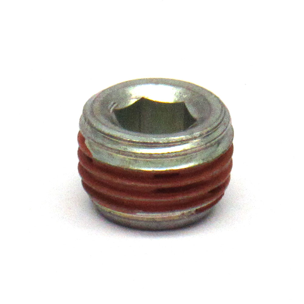 EngineQuest Pipe Plug SPP250; Plug Natural 1/4 in. NPT Straight ...