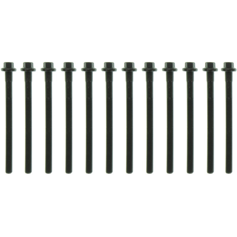  MAHLE Cylinder Head Bolts Image
