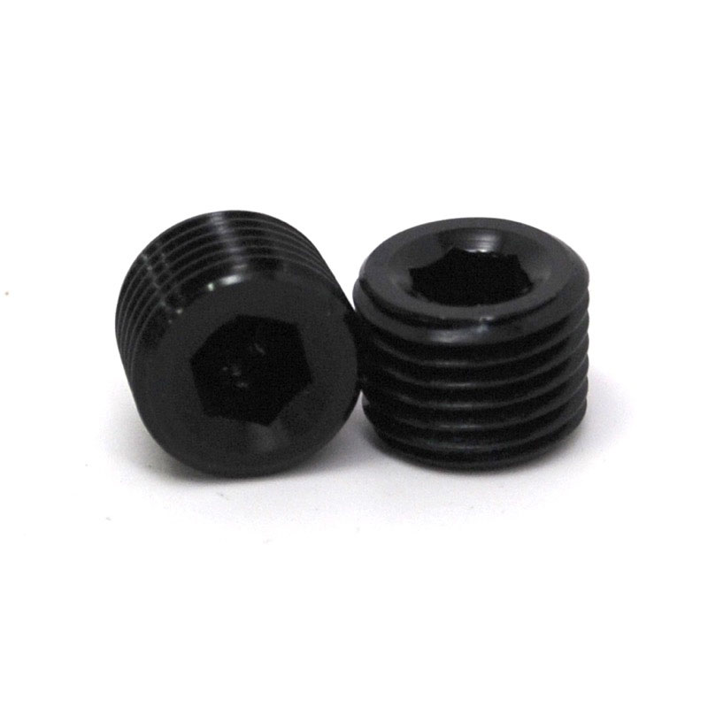 NyTrex Pipe Fitting 173405; NPT Plug Black 1/4 in. NPT Male Straight Allen 