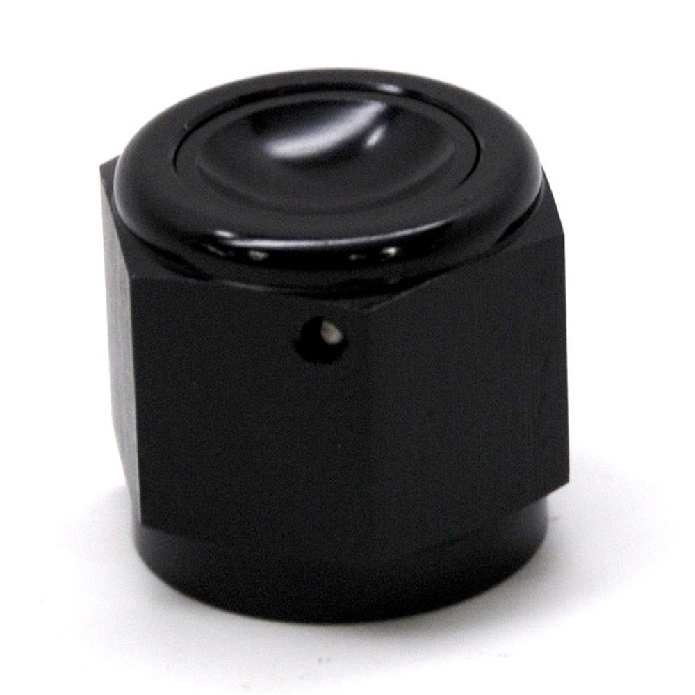 Renegade Racing Components AN Fitting 61029-2; AN Flare Cap Black -10AN Female Straight Hex Head 