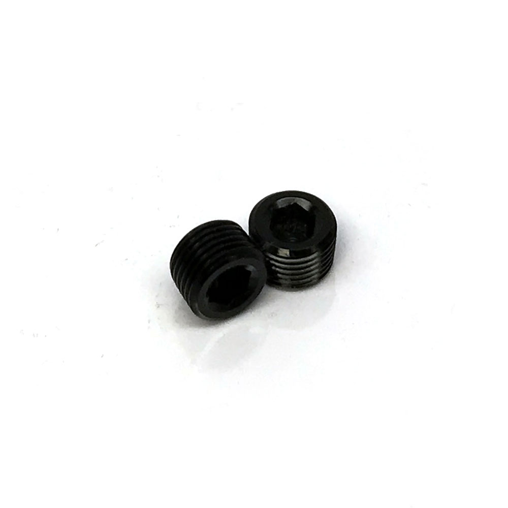 Renegade Pipe Fitting 61204-2; NPT Plug Black 1/8 in. NPT Male Straight Allen 