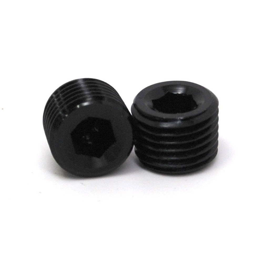 Renegade Pipe Fitting 62504-2; NPT Plug Black 1/4 in. NPT Male Straight Allen 