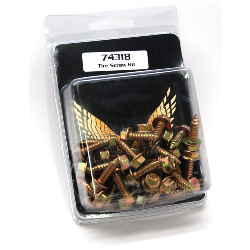 Renegade Wheel Rim Screws 74318; 5/32 in. 5/8 in. Hex Screw Gold Iridite Grade 8 Steel 