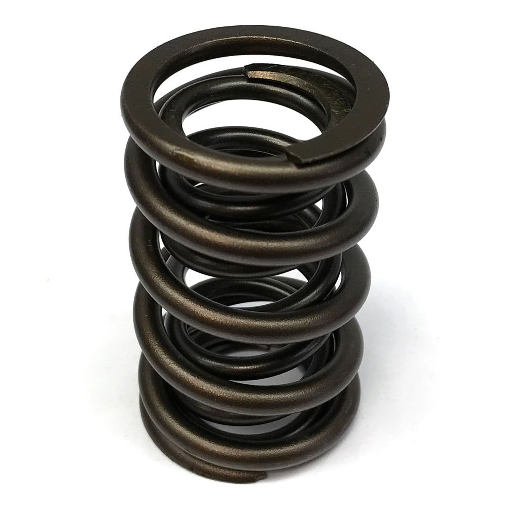  Renegade Valve Springs Image