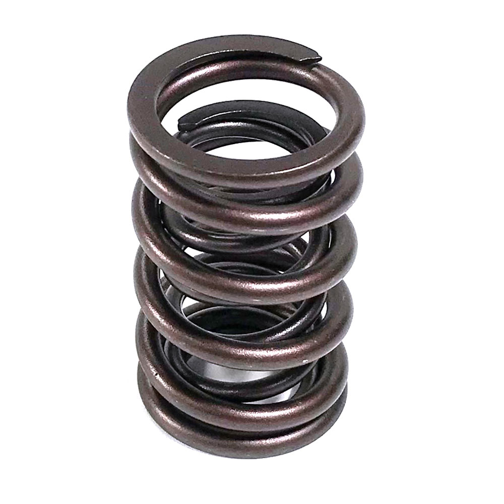  Renegade Valve Springs Image