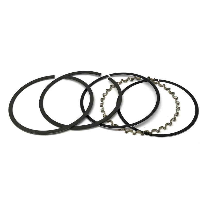Renegade Piston Rings PS94160; Plasma Moly 4.155 in. File Fit Performance 