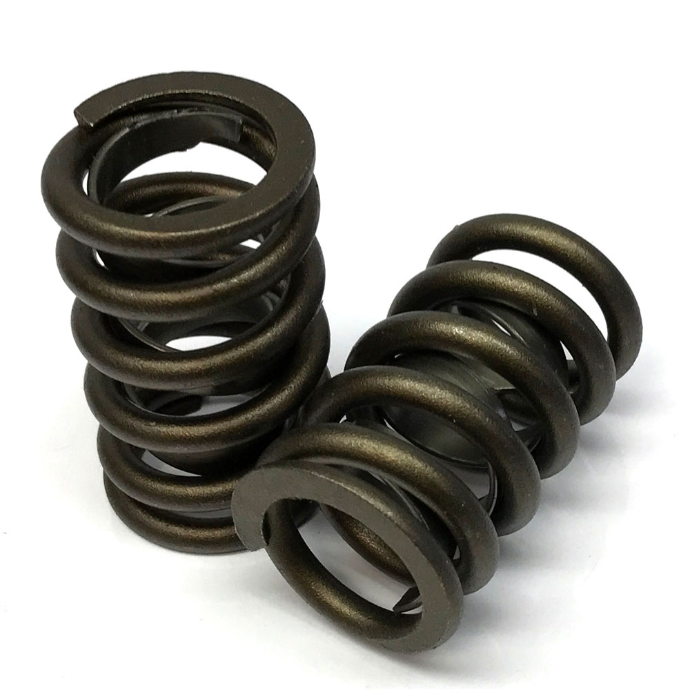  Renegade Valve Springs Image
