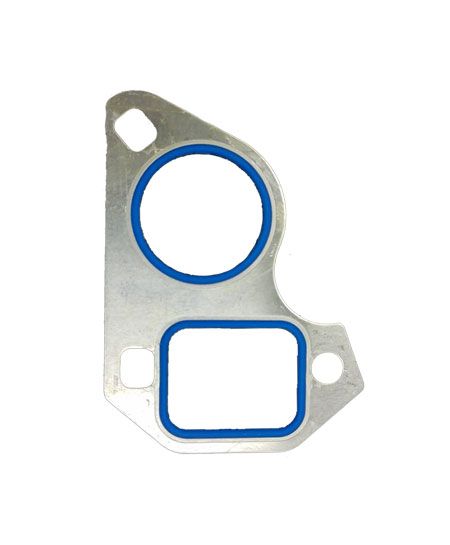 Renegade Water Pump Mounting Gasket WPGLS-20; 20-Pack for GM LS 