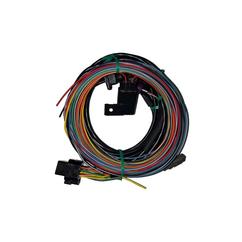 Racepak Data Logging Unit Wiring Harness 280-CA-IQ3D; 